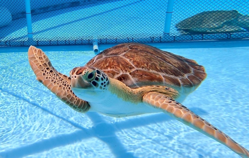 Road Trip To Key West | Best Stops Along the Way | Southernmost Beach ...