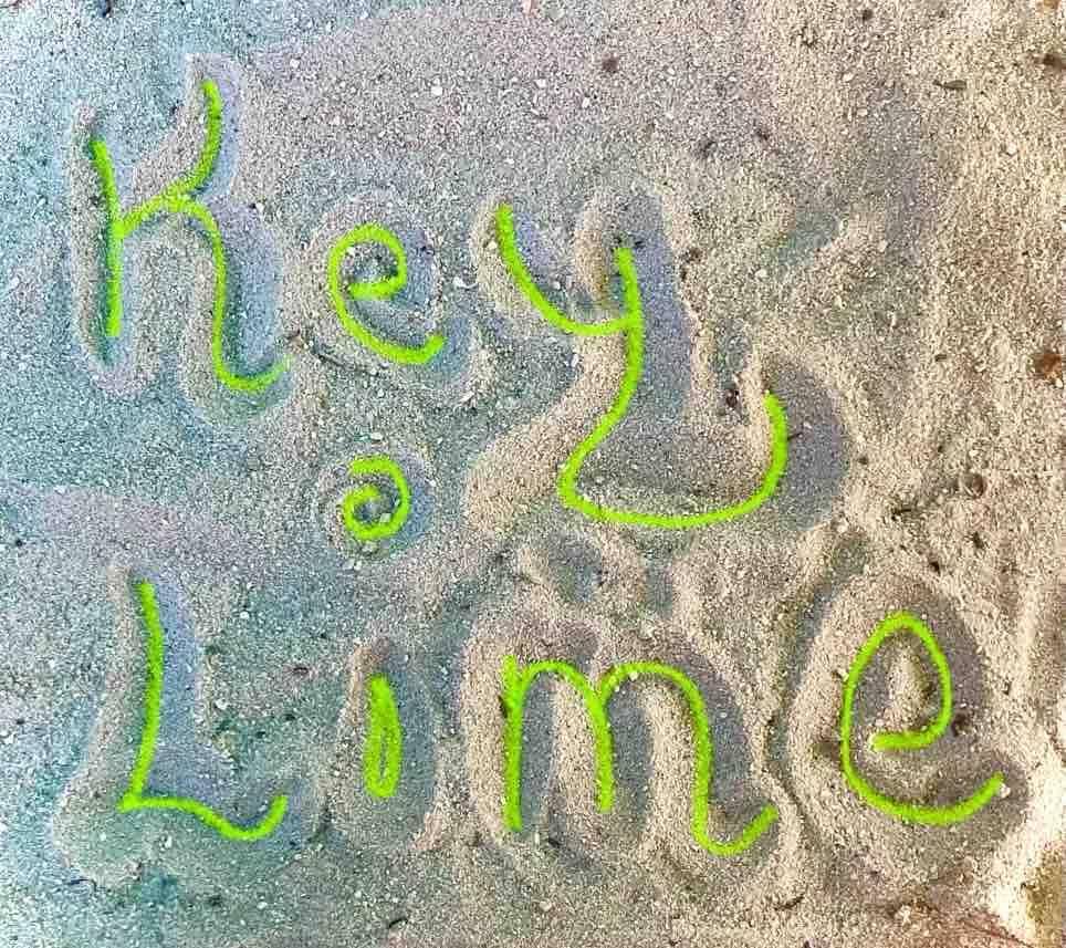 Beyond the Pie: Why Key West is Obsessed with Key Lime